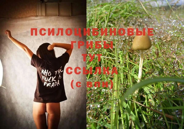 метадон Новочеркасск