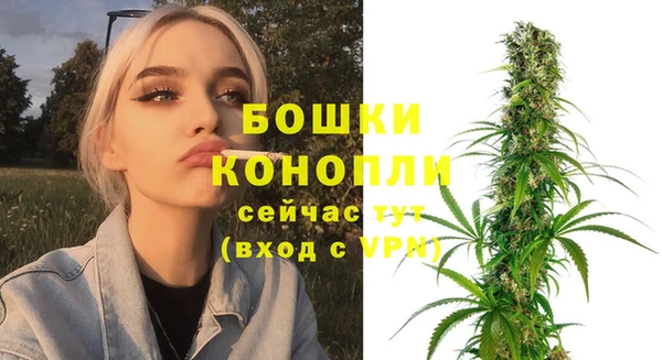 эйфоретик Липки