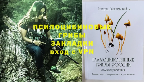 эйфоретик Липки