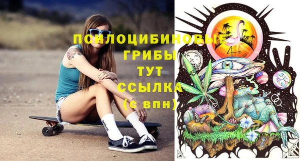 дживик Лихославль