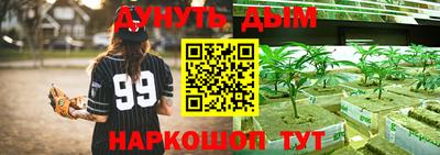 спайс Гусь-Хрустальный