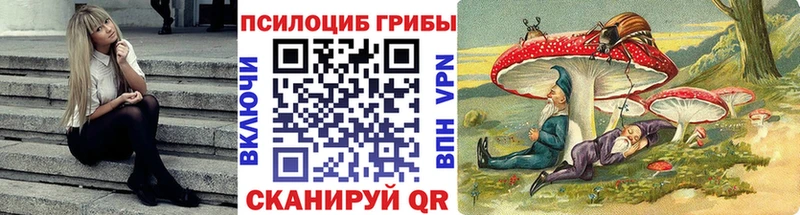 Псилоцибиновые грибы Cubensis Дюртюли