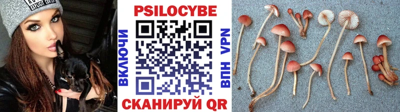 Псилоцибиновые грибы мицелий  купить наркоту  мега вход  Дюртюли 